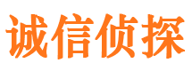 南安市调查公司